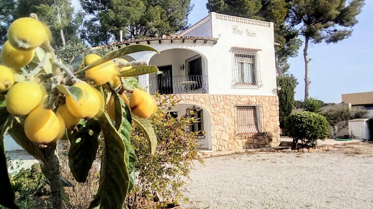 테울라다 Pinomar 아파트 외부 사진